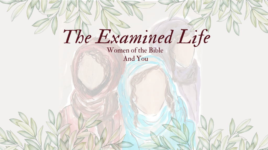 The Examined Life – Luncheon