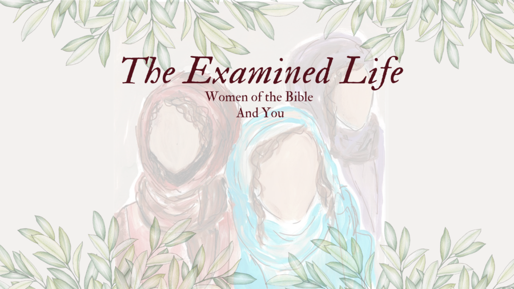 The Examined Life – Opening Session